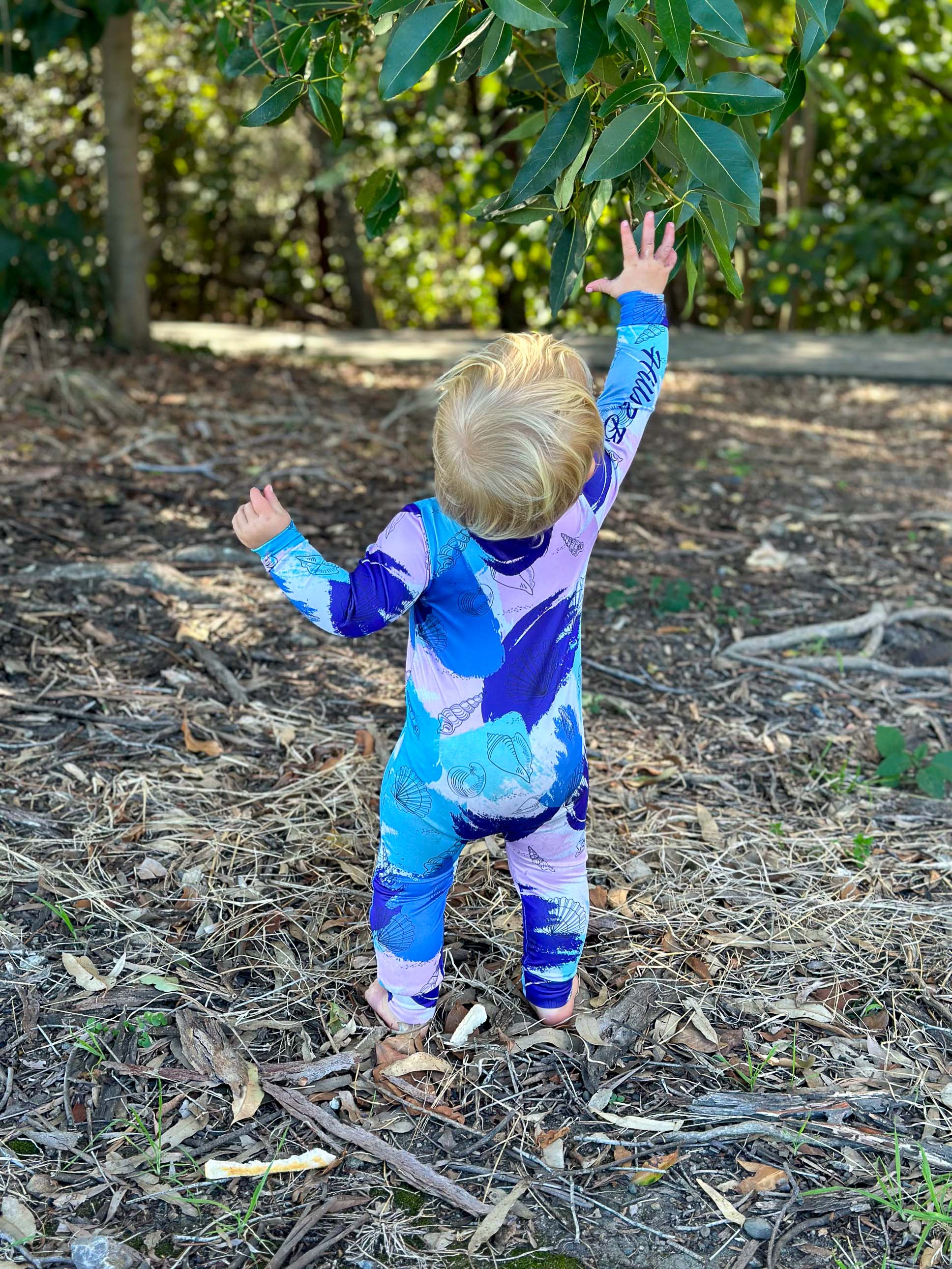Adventure Suit Seashells